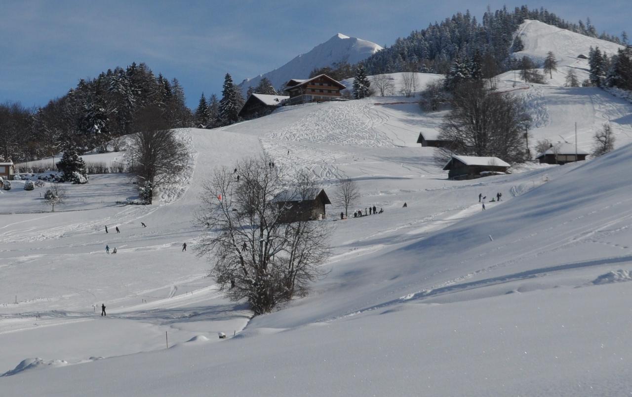 Aeschi Bei Spiez Brunnenmatte酒店 外观 照片