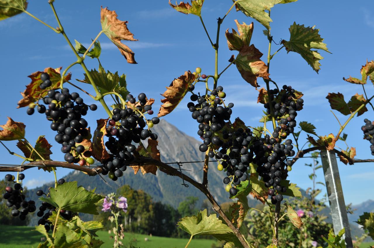 Aeschi Bei Spiez Brunnenmatte酒店 外观 照片