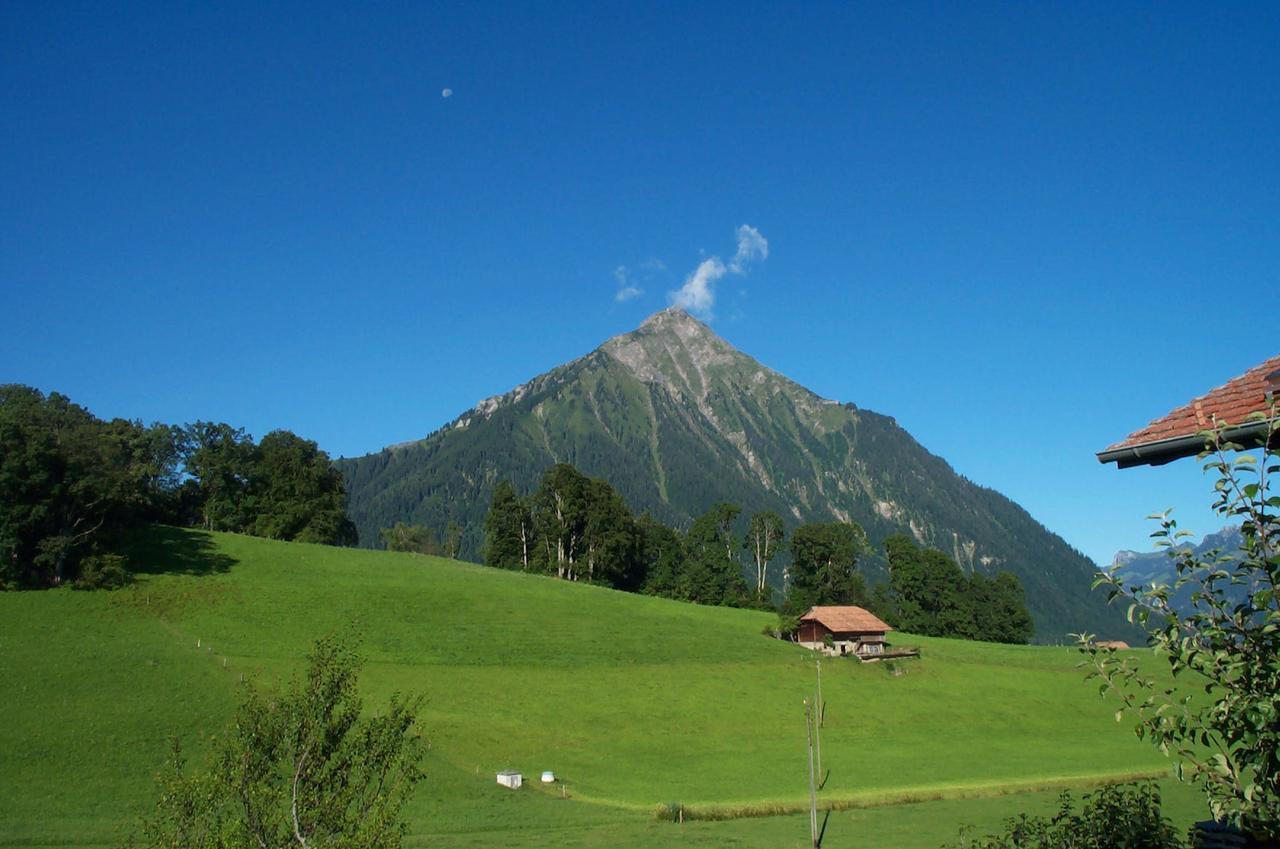 Aeschi Bei Spiez Brunnenmatte酒店 外观 照片